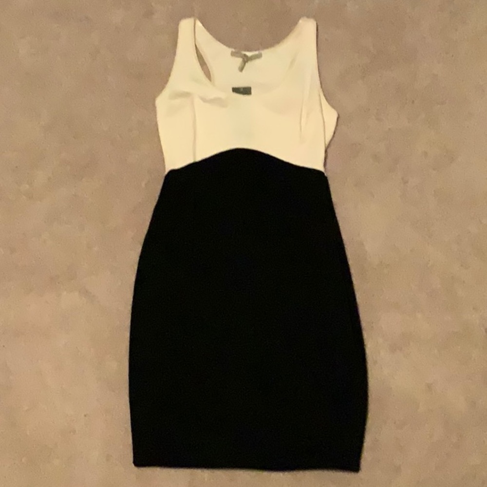 Halston Heritage Color Blocked Dress